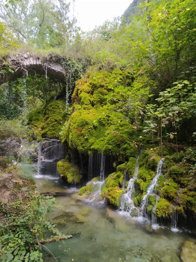 Tortorella Tenuta Vallina - Golfo Di Policastro מראה חיצוני תמונה